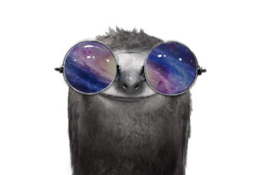 Sloth Sunglasses