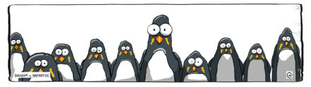 Pinguinanza